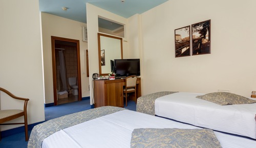 Habitación estándar con 2 camas individuales