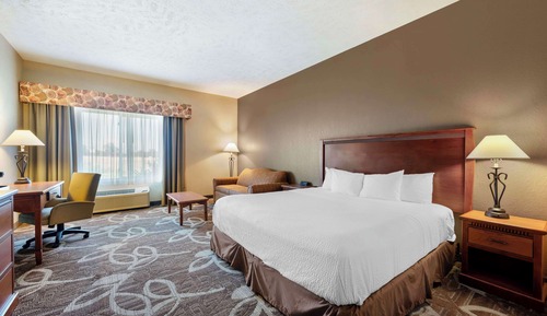 Habitación estándar, 1 cama de matrimonio grande, frigorífico y microondas (with Sofabed)