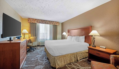 Habitación estándar, 1 cama de matrimonio grande, no fumadores, frigorífico y microondas