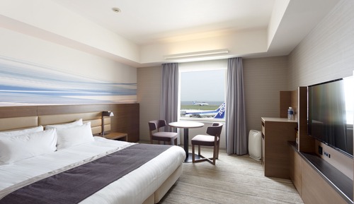 Habitación Deluxe doble, no fumadores (Runway view)