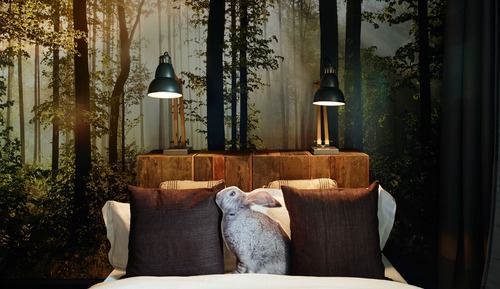 Habitación económica doble