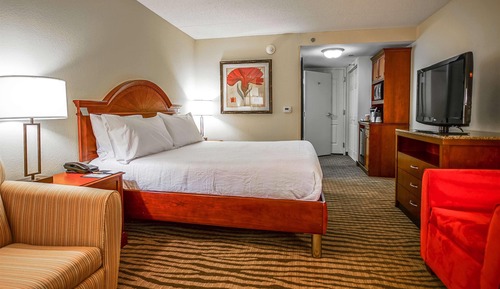 Suite, 1 cama de matrimonio grande, accesible en silla de ruedas, no fumadores (Roll-in Shower)