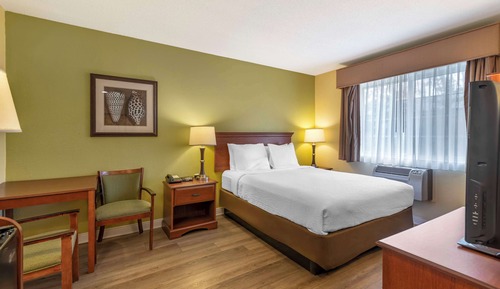 Habitación estándar, 1 cama de matrimonio, no fumadores, frigorífico