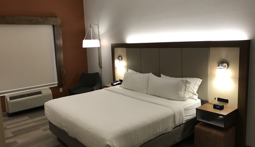 Habitación estándar, 1 cama de matrimonio grande (Roll-In Shower)