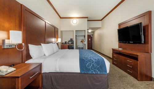 Habitación clásica, 1 cama de matrimonio grande con sofá cama (Suites Accessible, Roll-In-Shower)