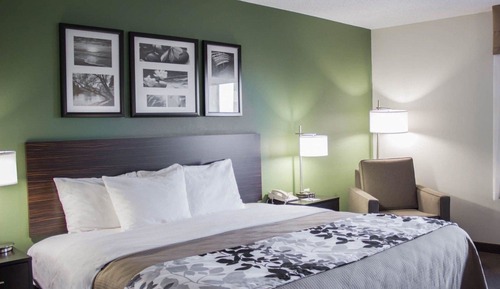 Suite, 1 cama de matrimonio grande con sofá cama, accesible para personas con discapacidad