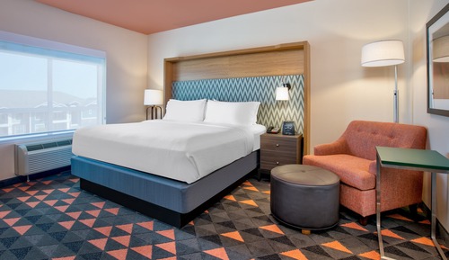 Habitación estándar, 1 cama de matrimonio grande (Roll-In Shower)