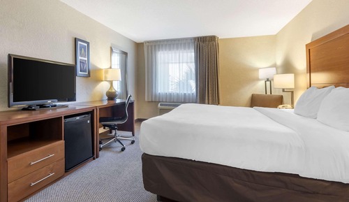 Habitación estándar, 1 cama de matrimonio grande, no fumadores (Top Floor)