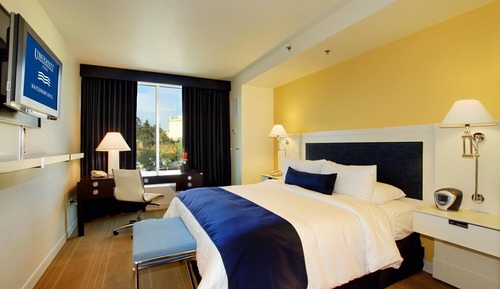 Habitación tradicional, 1 cama de matrimonio grande