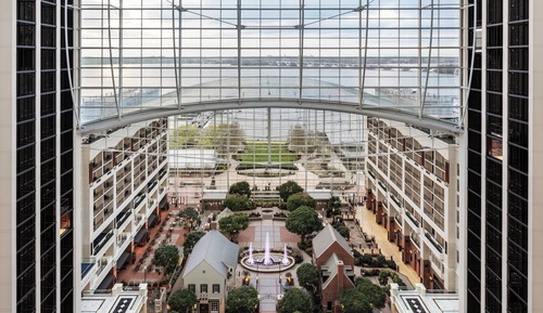 Suite, 1 habitación