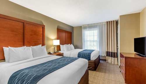 Suite, varias camas, no fumadores