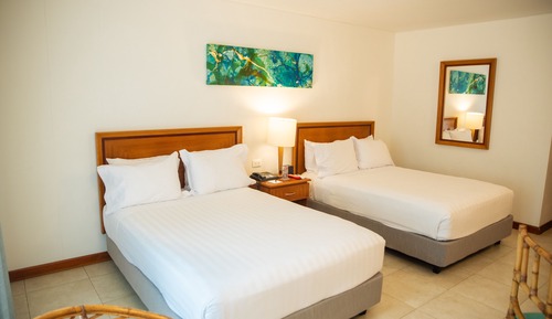 Habitación estándar, 2 camas dobles