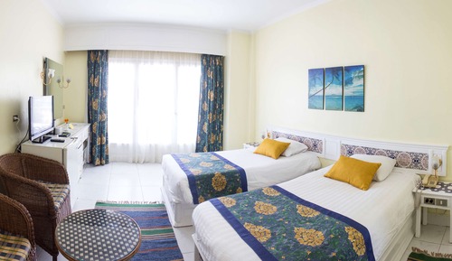 Habitación con 1 cama doble o 2 individuales, vistas al jardín