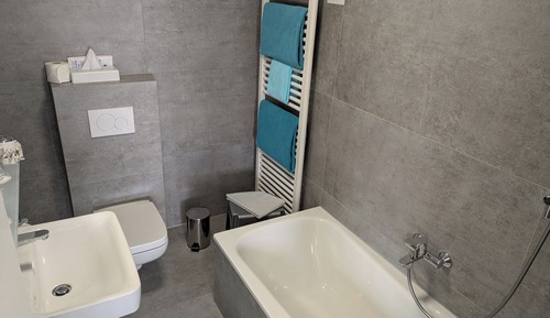 Habitación estándar doble (with air conditioning)