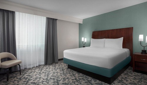 Suite junior, 1 cama de matrimonio grande con sofá cama