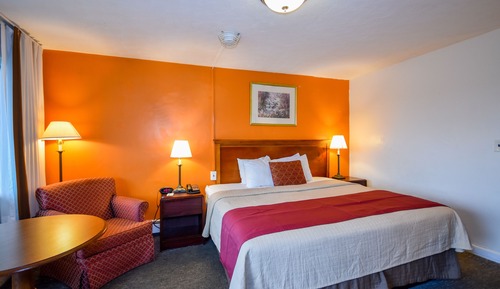 Habitación estándar, 1 cama de matrimonio grande