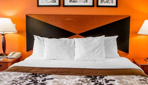 Habitación, 1 cama de matrimonio grande, accesible para personas con discapacidad, no fumadores