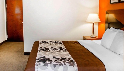 Habitación estándar, 1 cama de matrimonio grande, no fumadores