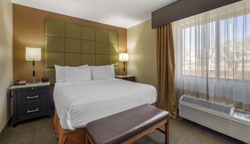 Habitación estándar, 1 cama de matrimonio grande, no fumadores, frigorífico y microondas