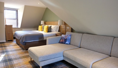 Loft clásico, 1 cama doble, no fumadores, vistas parciales al lago