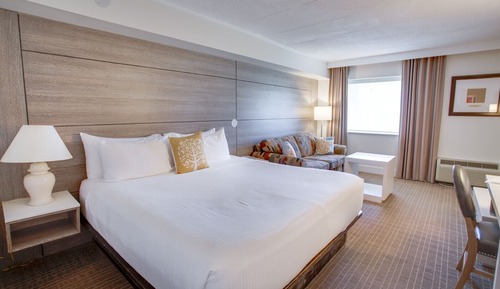 Premium Room, 1 King Bed with Sofa bed (No Pets)