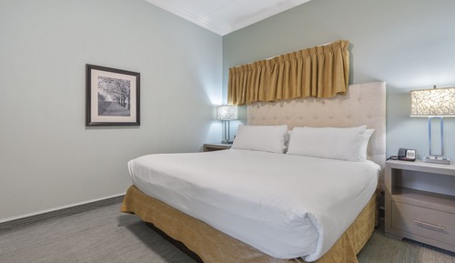 Suite, 1 cama de matrimonio grande con sofá cama