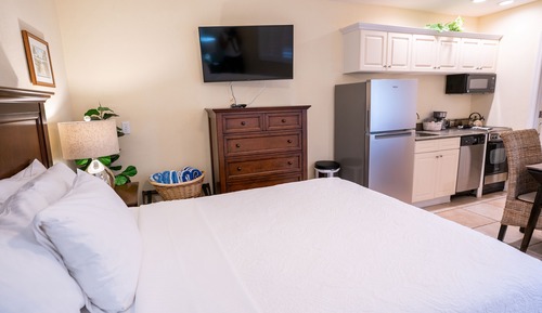 Suite estudio (Unit 102)