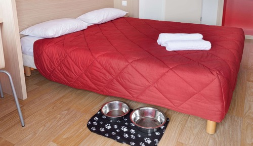 Habitación estándar, 1 cama doble