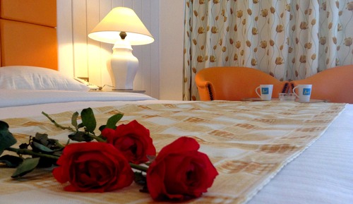 Habitación estándar, vistas al jardín