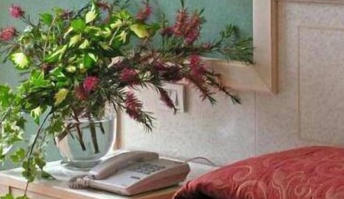 Habitación estándar