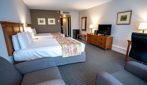 Habitación estándar, 2 camas de matrimonio