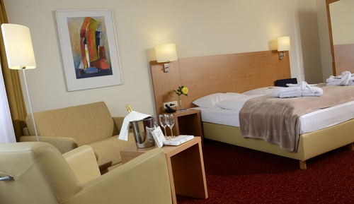 Habitación Deluxe doble, sauna, vistas al río