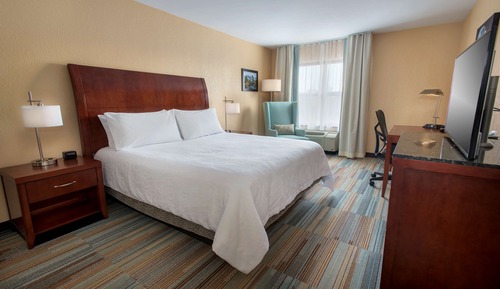 Suite junior, 1 cama de matrimonio grande con sofá cama