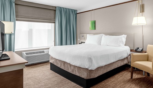 Presidential Suite, 1 King Bed with Sofabed