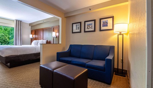 Suite, 1 cama de matrimonio grande con sofá cama, accesible para personas con discapacidad