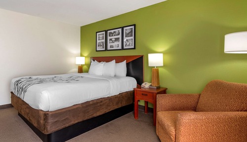 Habitación estándar, 1 cama de matrimonio grande, no fumadores