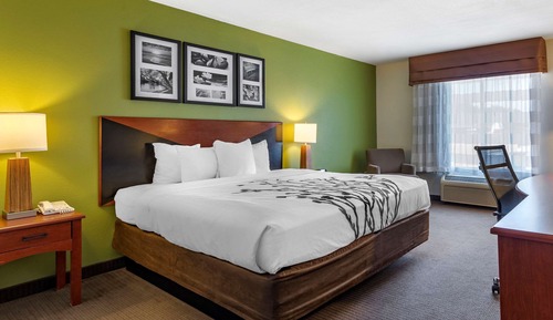 Habitación, 1 cama de matrimonio grande, accesible para personas con discapacidad, no fumadores