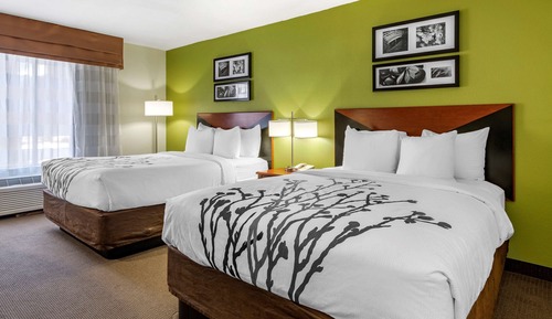 Habitación, 2 camas de matrimonio, accesible para personas con discapacidad, no fumadores