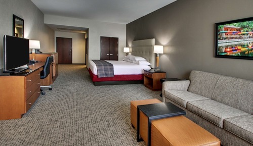 Habitación Deluxe, 1 cama de matrimonio grande con sofá cama (Roll in Shower)