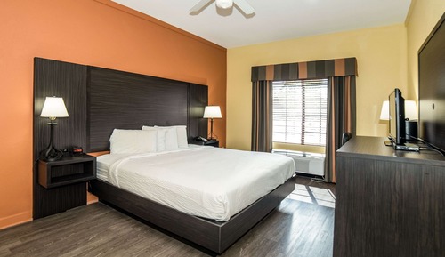 Habitación, 1 cama de matrimonio grande, no fumadores, frigorífico y microondas (Handicapped)