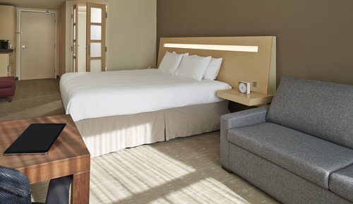 Habitación ejecutiva, 1 cama de matrimonio grande con sofá cama