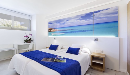 Apartamento Premium, 1 habitación, terraza, planta baja