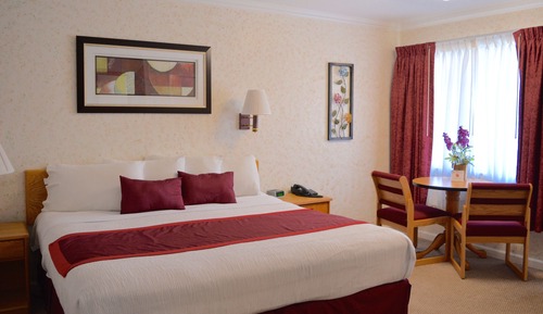 Habitación estándar, 1 cama de matrimonio grande