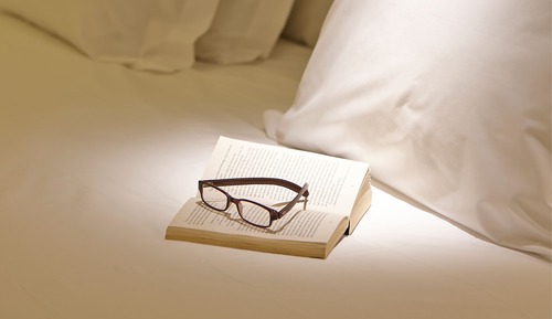 Habitación estándar con 2 camas individuales (Single Use)