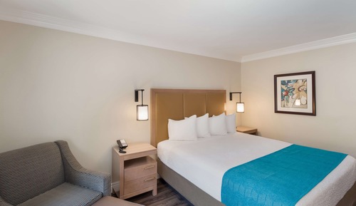 Habitación estándar, 1 cama de matrimonio grande, no fumadores, patio