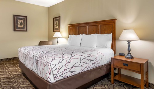 Habitación estándar, 1 cama de matrimonio grande, frigorífico y microondas (River View)