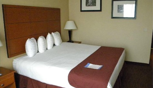 Habitación estándar, 1 cama de matrimonio grande, accesible para personas con discapacidad