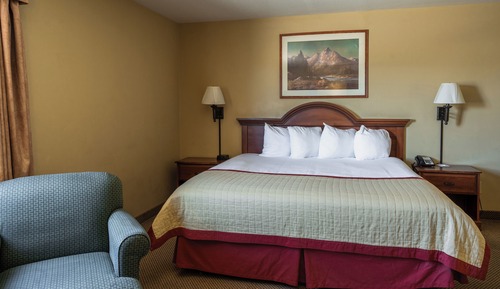 Habitación estándar, 1 cama de matrimonio grande