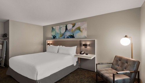 Habitación, 1 cama de matrimonio grande, accesible para personas con discapacidad (Roll In Shower)