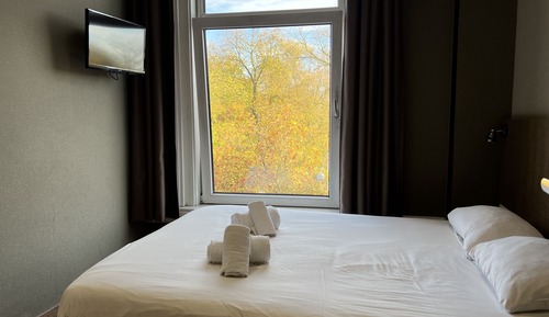 Habitación estándar doble